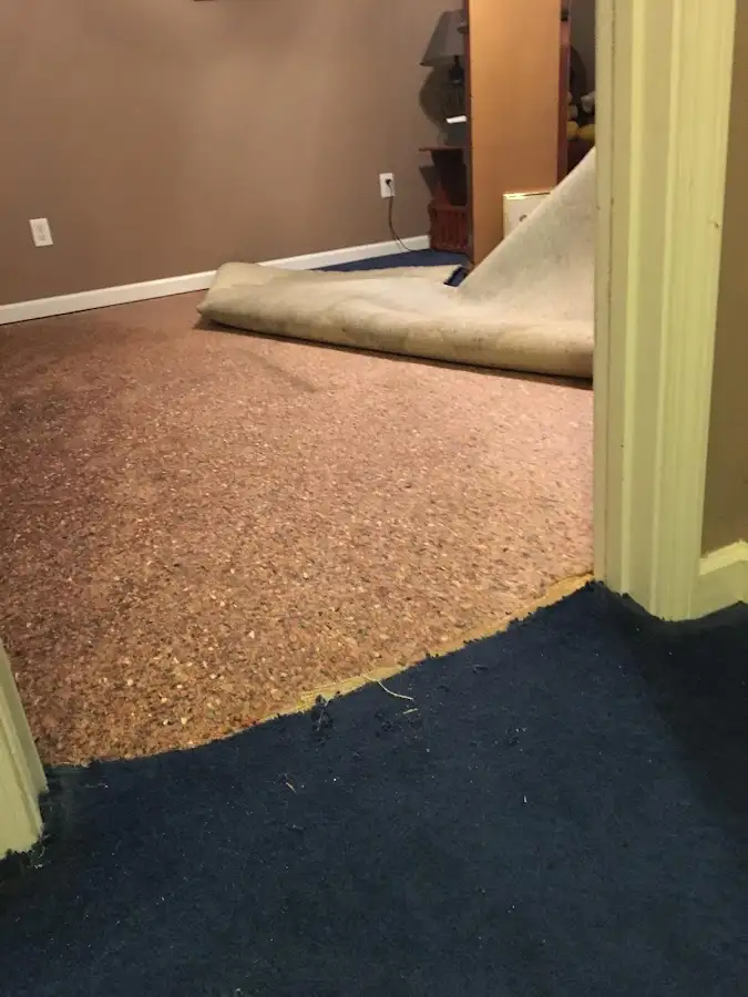 Carpet pad removal revealing water damage during Drying & Dehumidification in West Seneca