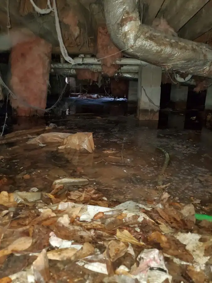 Crawl space flood assessment for Leak Detection & Repair in West Seneca