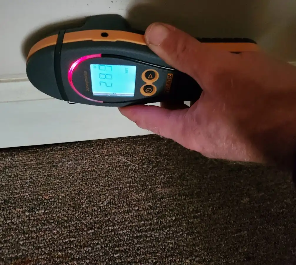 Moisture detection at baseboard during Burst Pipe Cleanup in West Seneca